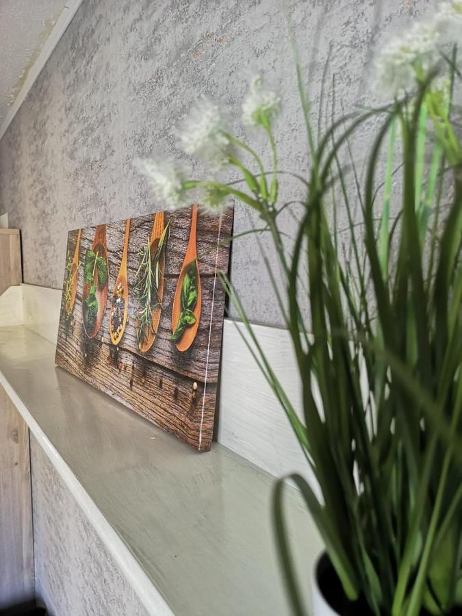 Cozy Flat, Central, Easy Parking, Clam Apartment Bayreuth Exterior photo